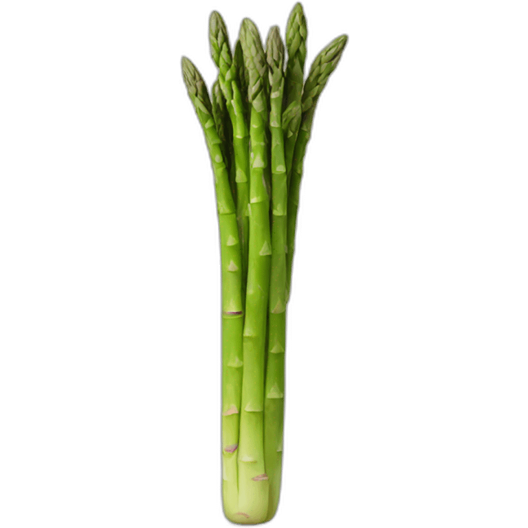 asparagus emoji