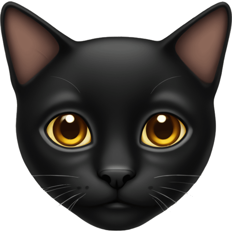 Black cat with brown eyes emoji