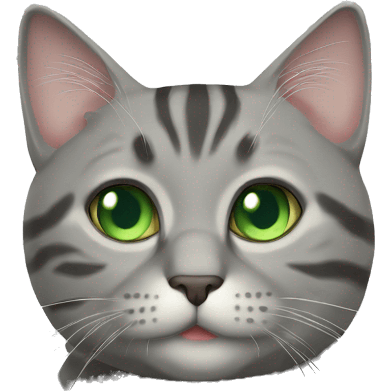 Chunky grey tabby cat with green eyes emoji