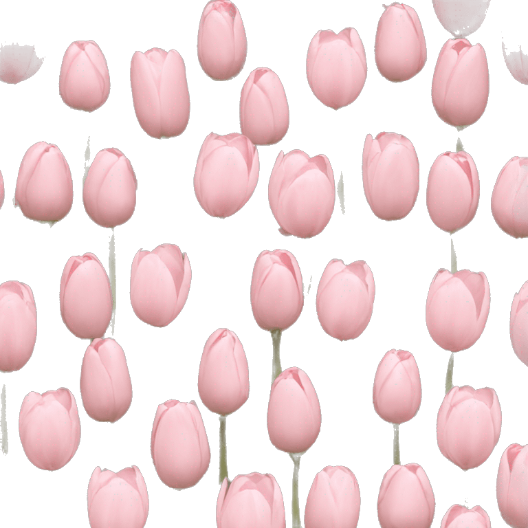 light pink tulips emoji