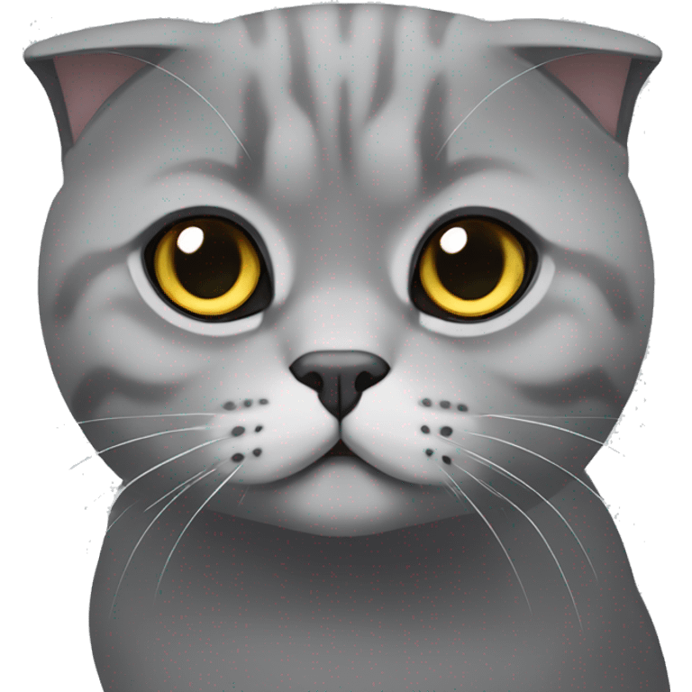 Grey Scottish fold cat minimalism emoji