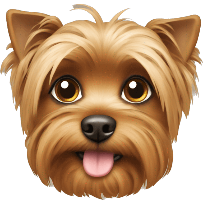 Yorki brown little dog  emoji