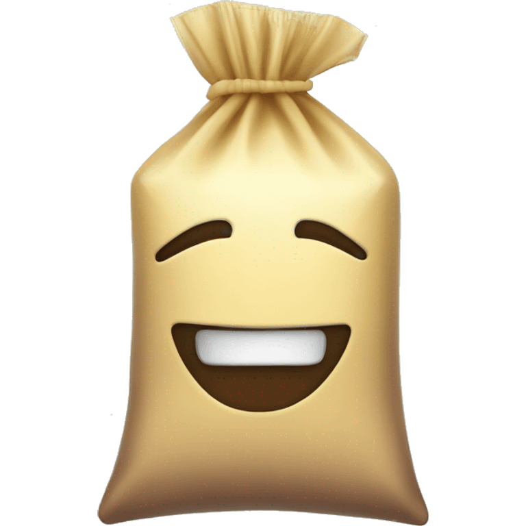 sachet zip transparent emoji