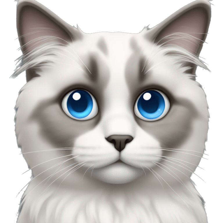 Ragdoll cat with blue eyes and a grey face that fades to white  emoji