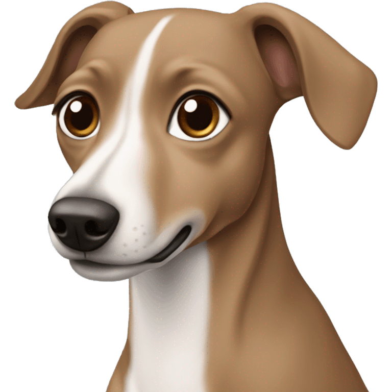 Grey brown Formosa mountain dog and Italian greyhound mix emoji