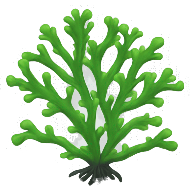 seaweed emoji