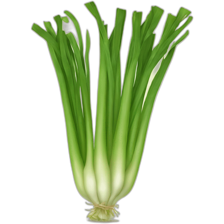 leek emoji