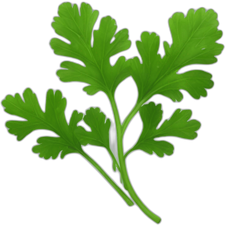 coriander emoji