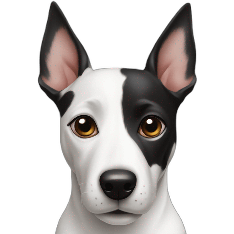 Black and white mix of a jack russel and a bullterrier with raised ears emoji