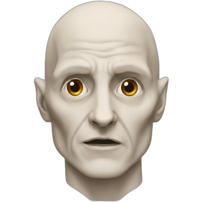 voldemort-from-the-movie-harry-potter emoji