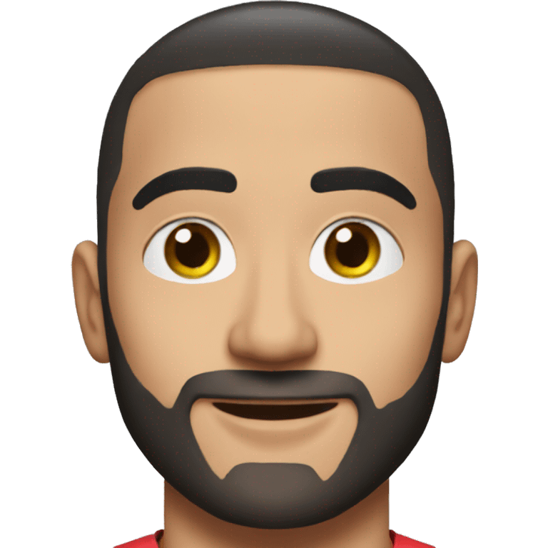 hakim ziyech emoji