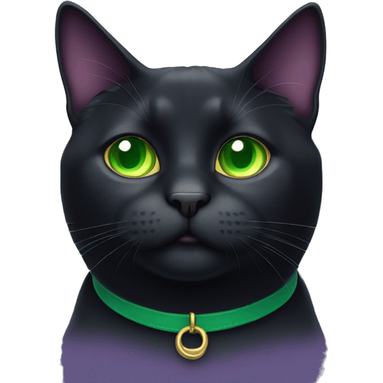 fat black cat with green eyes and purple collar emoji