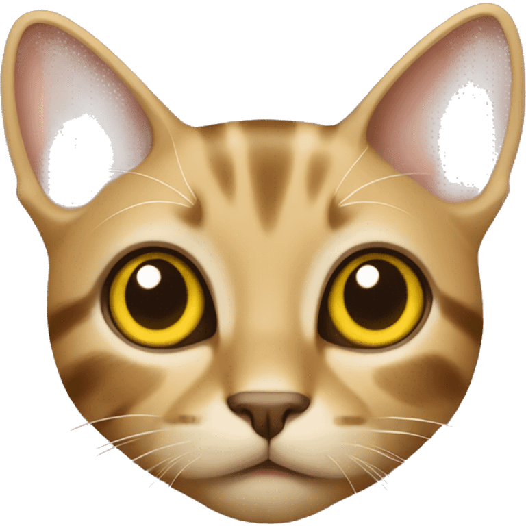 cat with yellow big eyes, small nose, brown beige color with stripes emoji