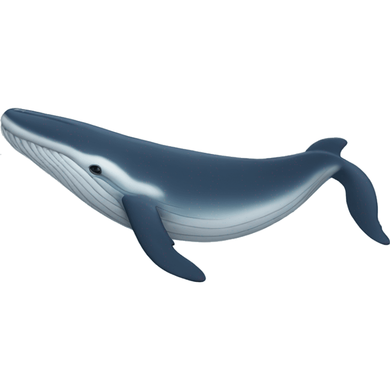 whale emoji