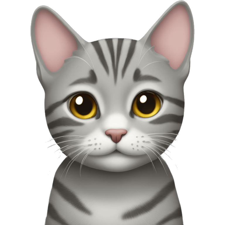 Grey tabby cat giving a kiss  emoji