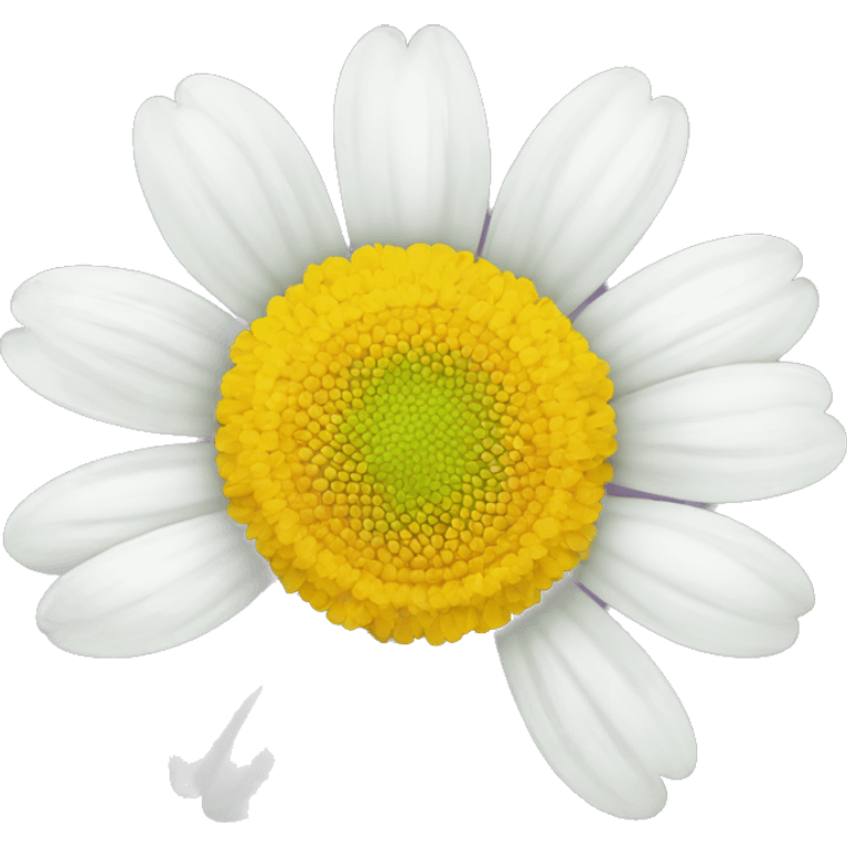 CHAMOMILE FLOWER emoji