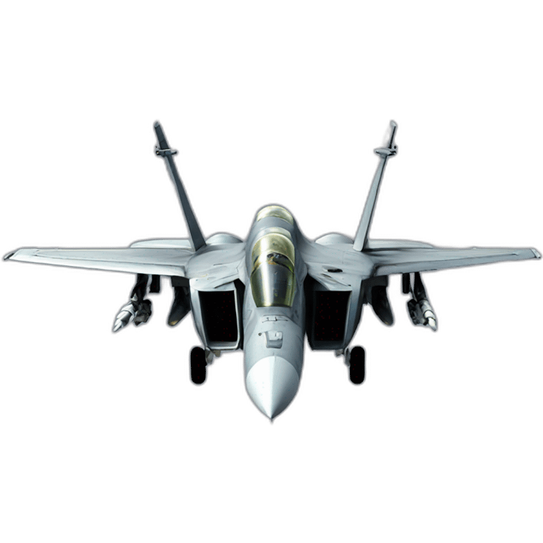 F14 tomcat emoji