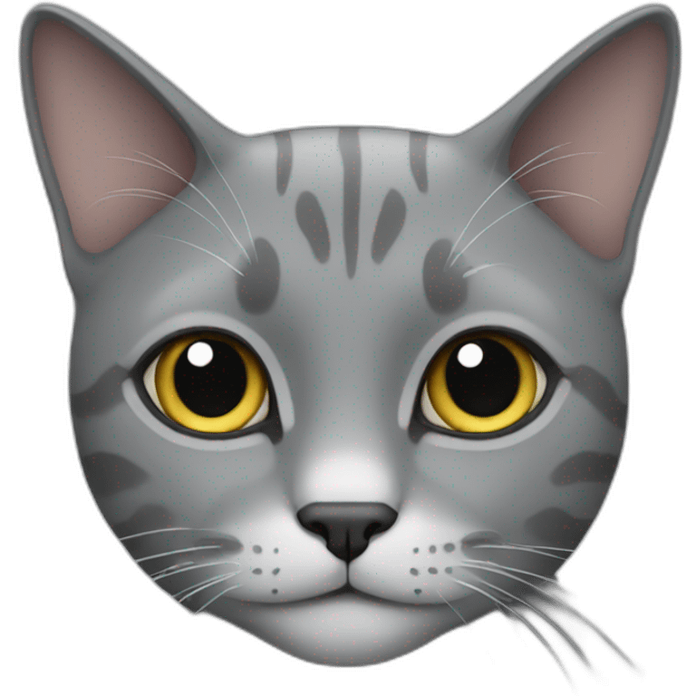 a grey cat emoji