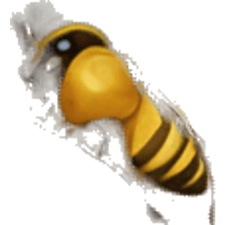 bee Hive emoji