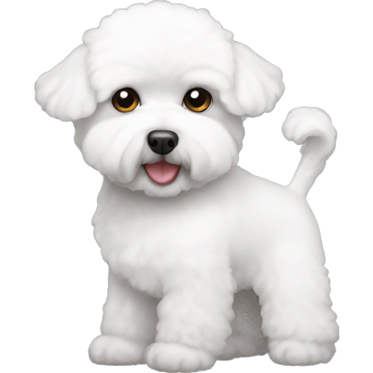 White bichon emoji