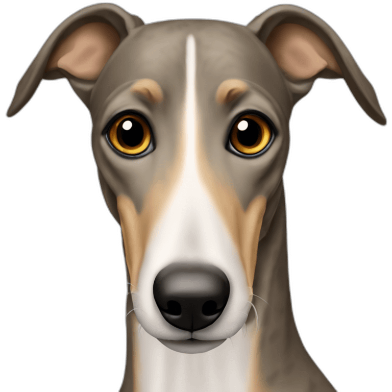 tan greyhound with faint black brindle striping that looks like eyebrows emoji