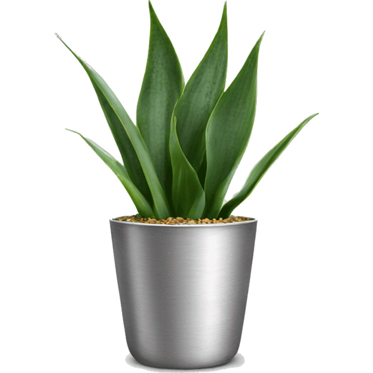 Sansevieria plant in silver pot emoji