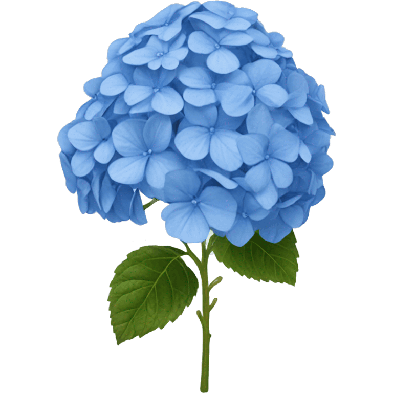 Blue hydrangea emoji