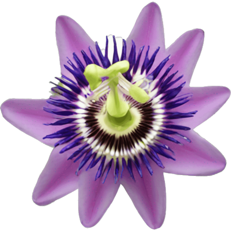 passion flowers  emoji