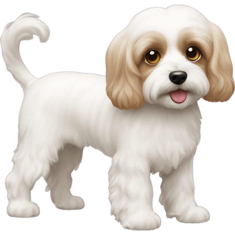 Cavachon emoji