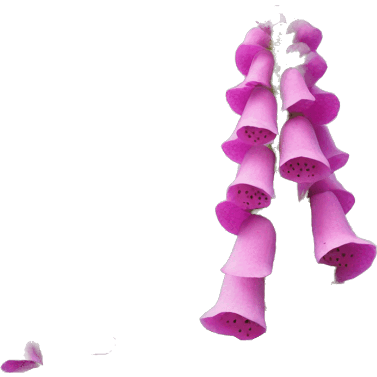 foxglove emoji