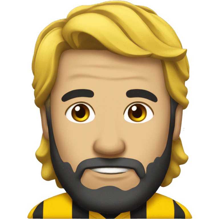 Stade Rochelais emoji