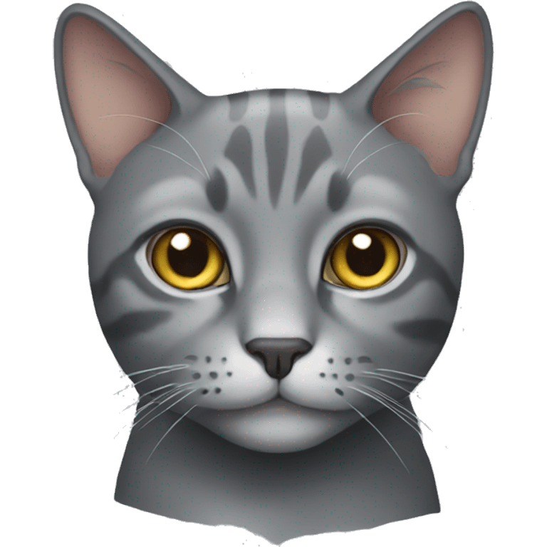 Grey cat emoji