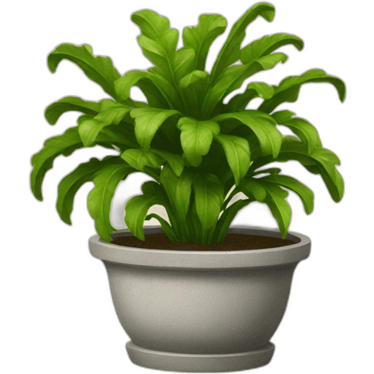 French planter emoji