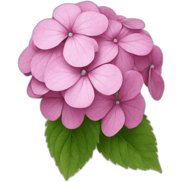 Flower hydrangea  emoji