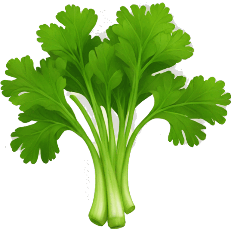 parsley emoji