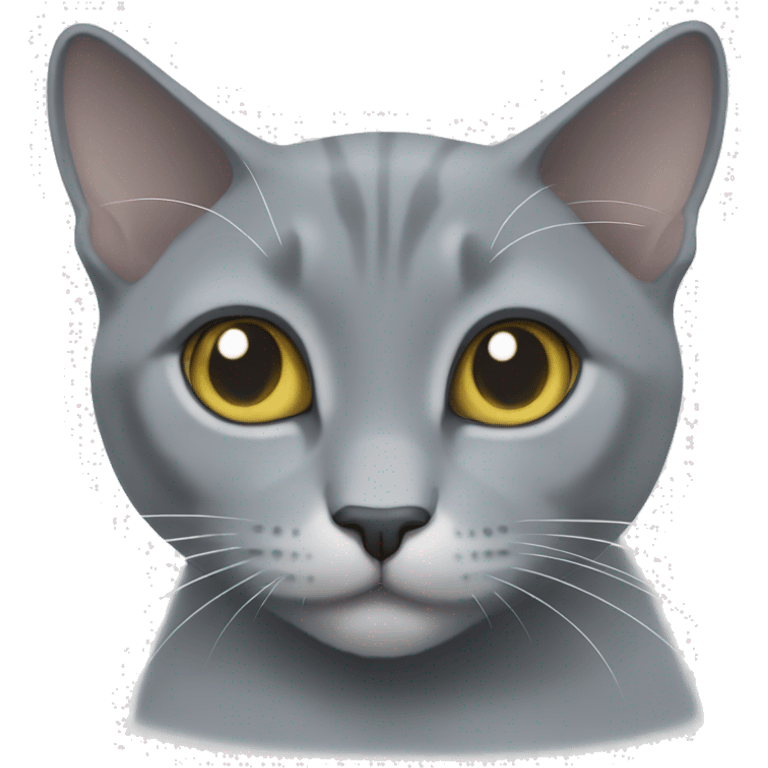 Grey cat russian blue mix with white paws and white Chest emoji