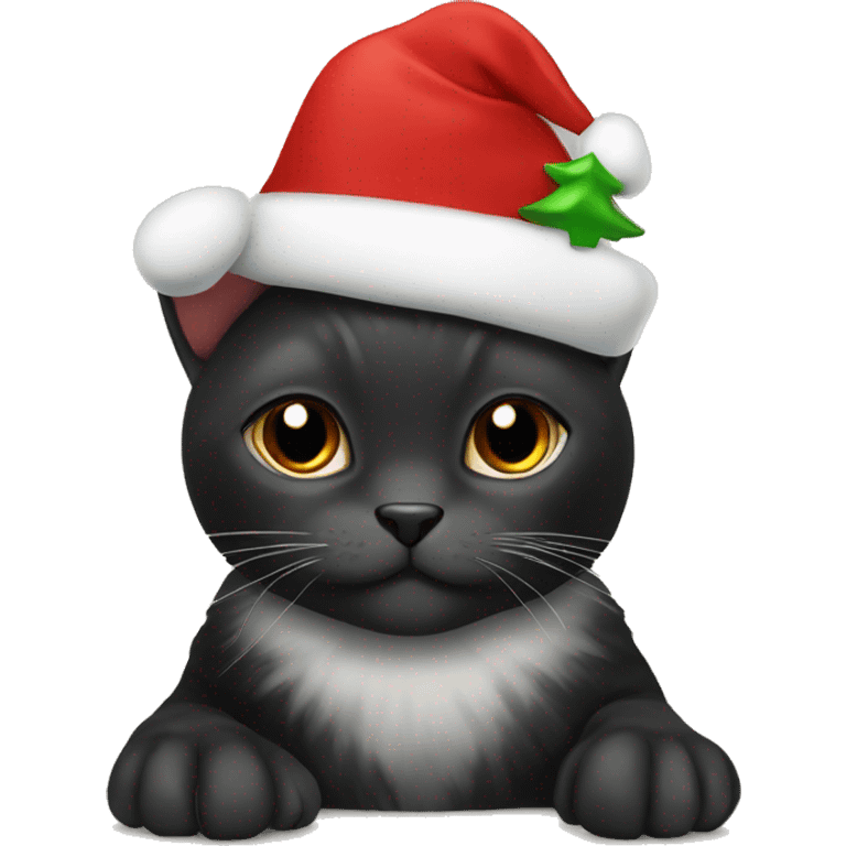 Black Tortoise colored cat with Christmas hat  emoji