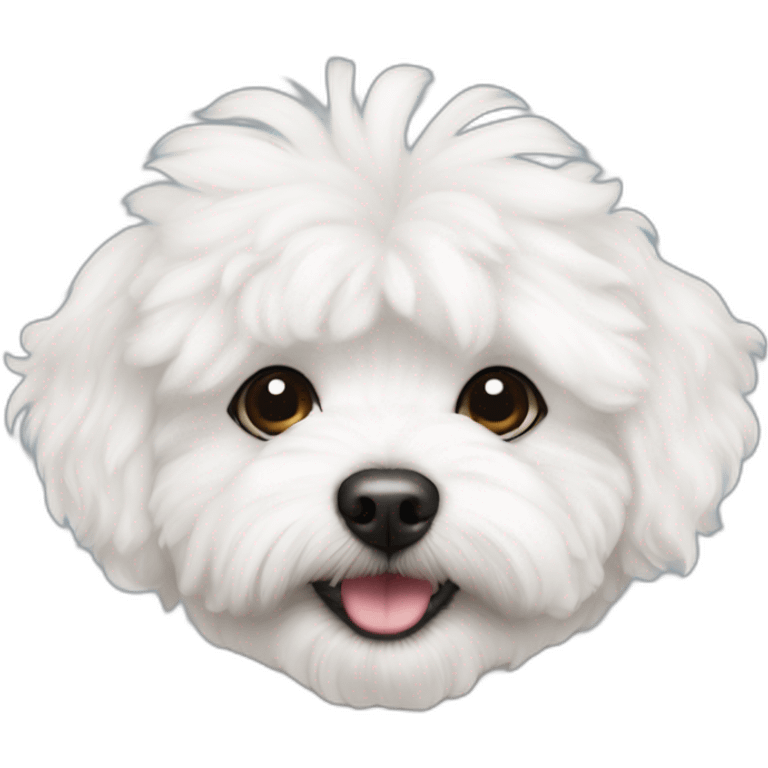 white fluffy maltipoo called tuffy emoji