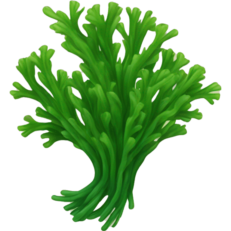 Seaweed  emoji