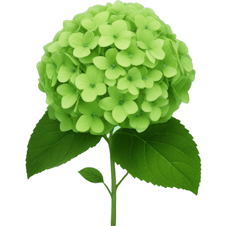 A green hydrangea emoji