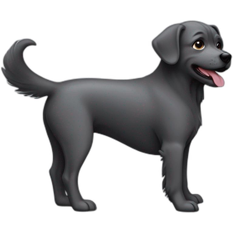 small-dark-grey-dog-standing-upright emoji