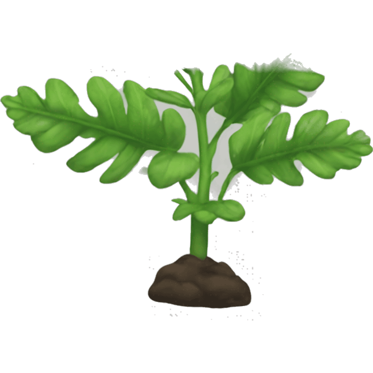 Rue plant emoji