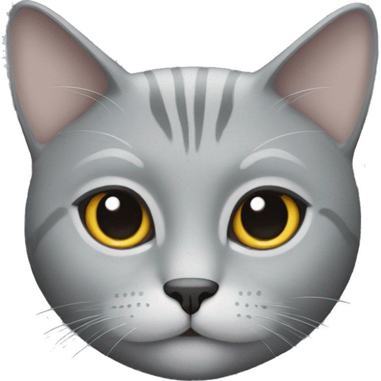 Grey cat with a solid grey face  emoji