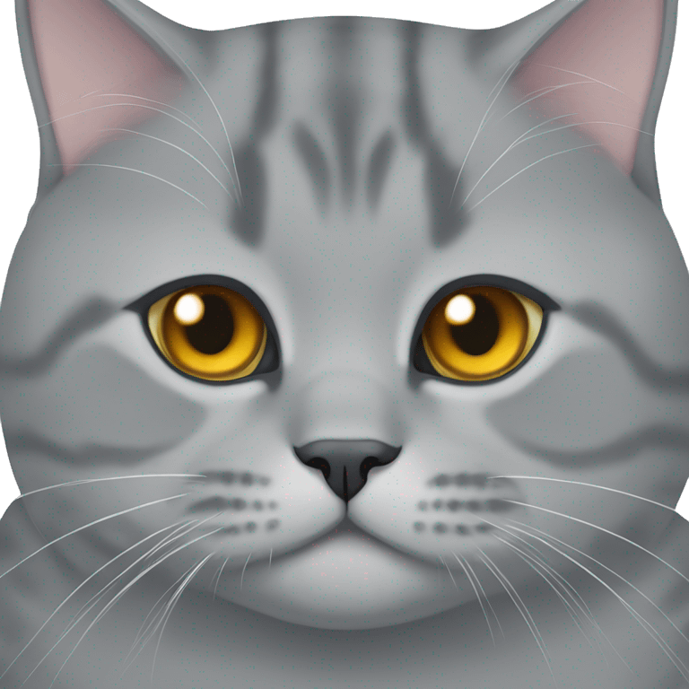 British shorthair cat emoji