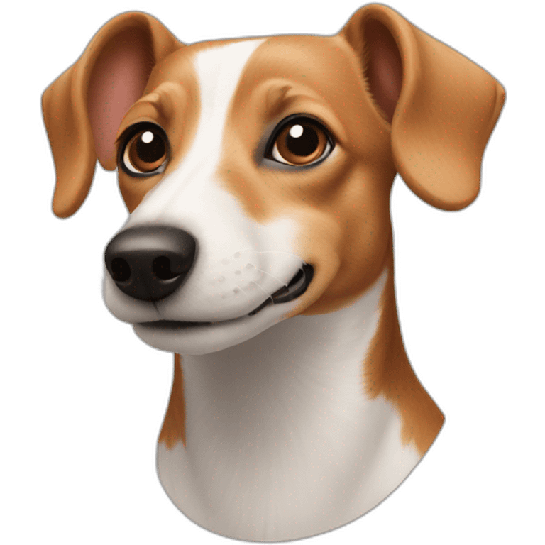 jack russel dachshund face front emoji