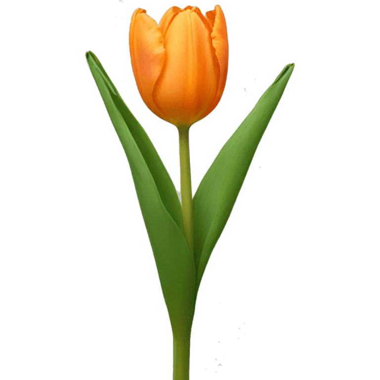 Pale orange tulip emoji