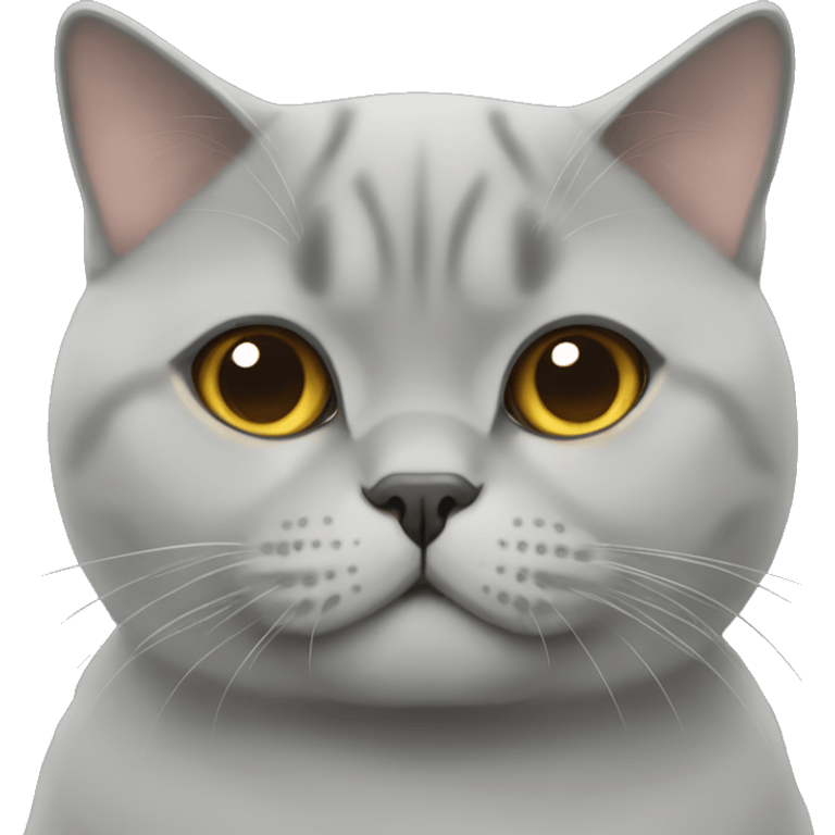 british shorthair emoji