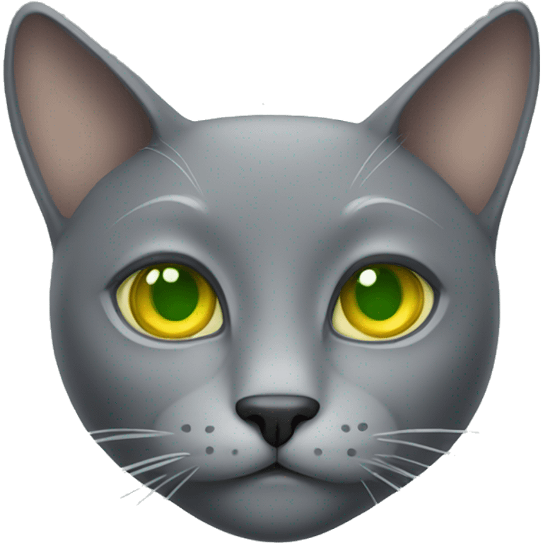 grey cat with stupid face and yellow green eyes emoji