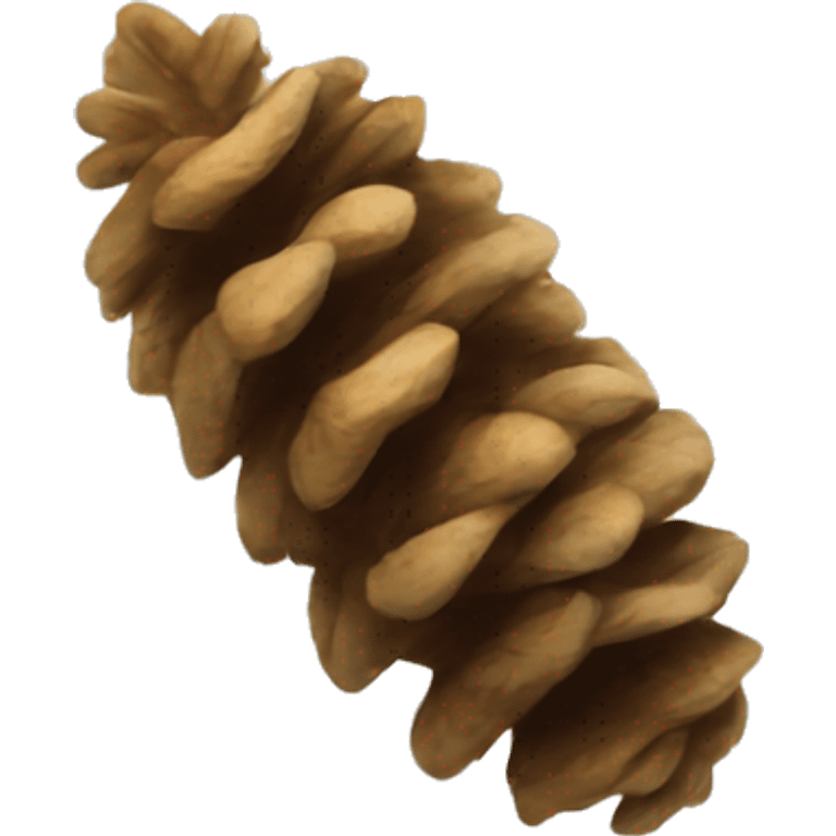 a Spruce pine cone emoji