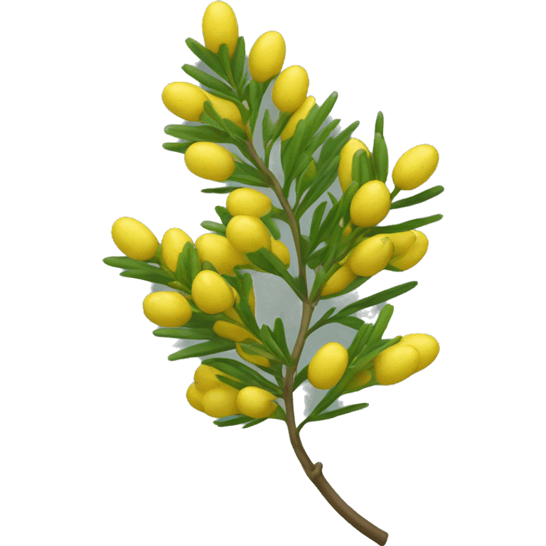 sprig of acacia emoji